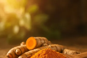 Racine et poudre de curcuma sur une cuillère en bois