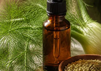 Flacon d'huile essentielle de fenouil avec graines et branches fraîches
