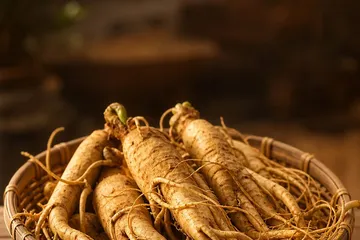 Ginseng — photo principale