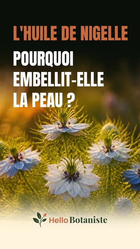 Huile de nigelle — vidéo Shorts