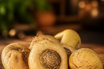 Maca — photo principale