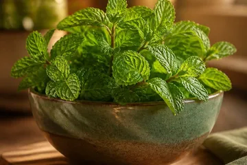 Brins de menthe fraîche dans un bol en cuisine