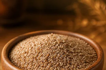 Psyllium — photo principale